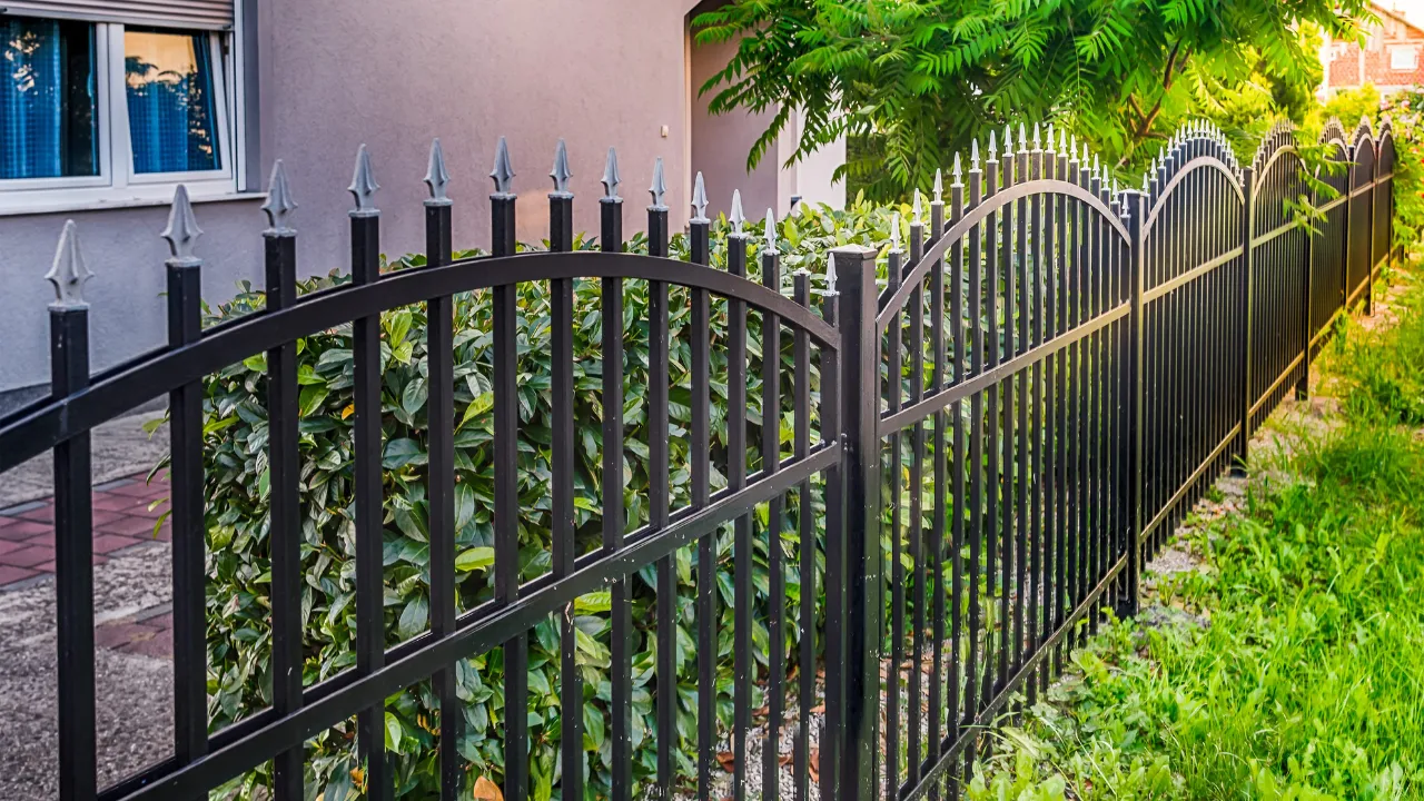 Iron Fence