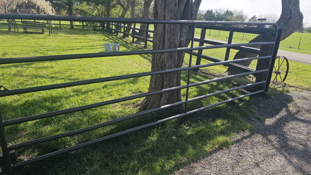 Iron Gate Painting in Farmersville