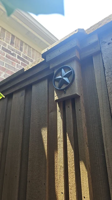 Iron Star Medallion Painting in Plano