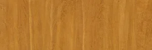 Golden cedar